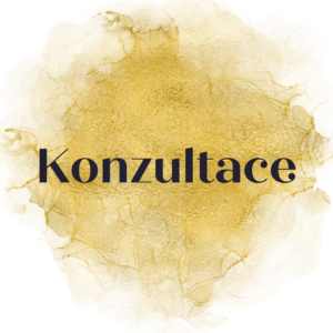 Konzultace